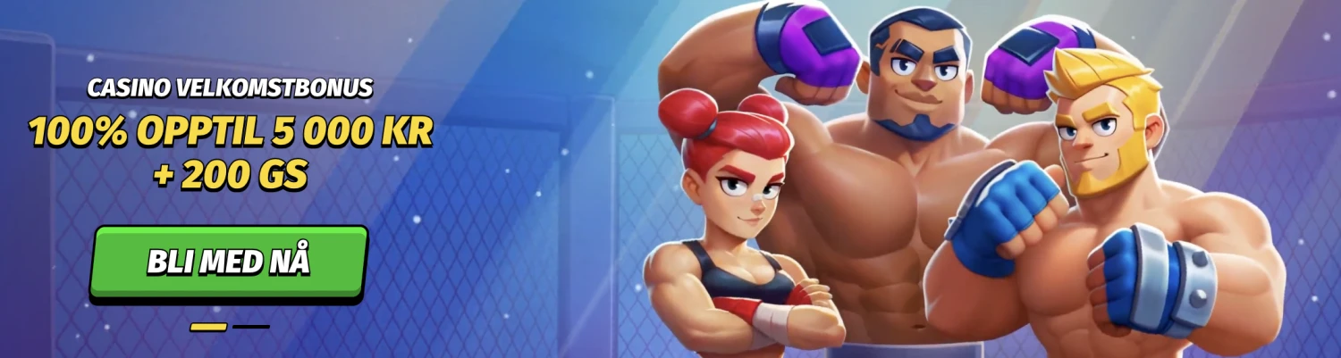 Promotional Banner